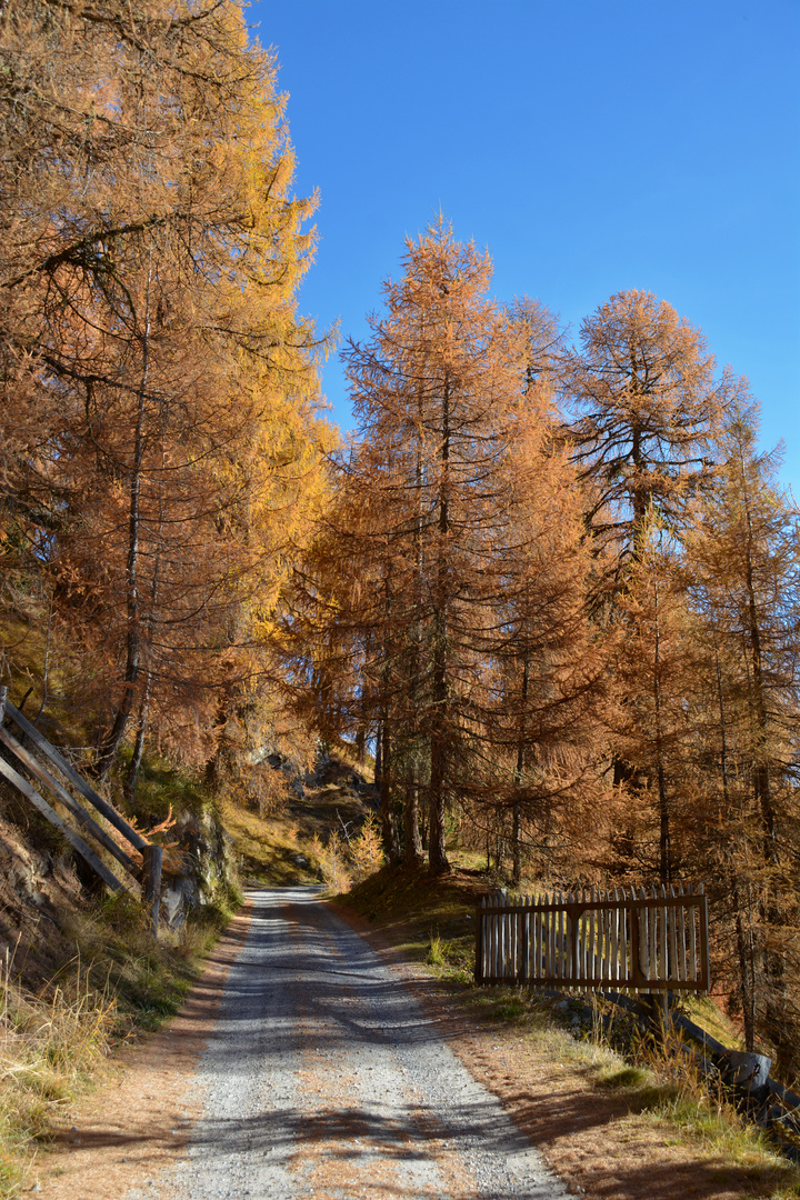 geliebter Herbst