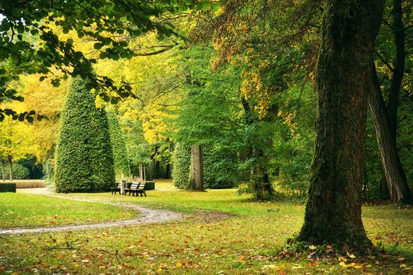 geliebter Stadtpark ...