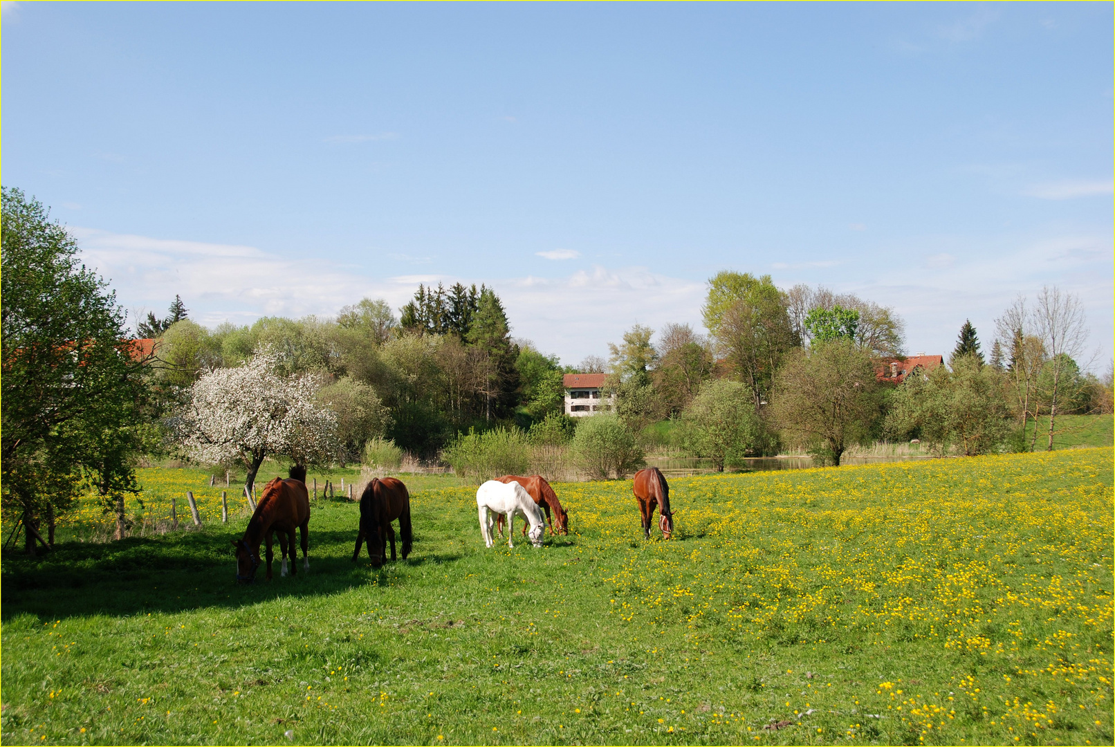 geliebtes heimatliches landidyll