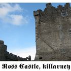 Geliebtes Ross Castle
