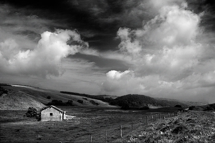 Gellibrand Valley