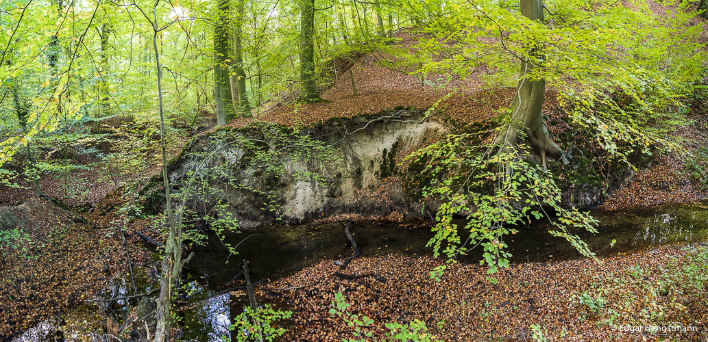 Gelllenbach in den  Bockholter Bergen