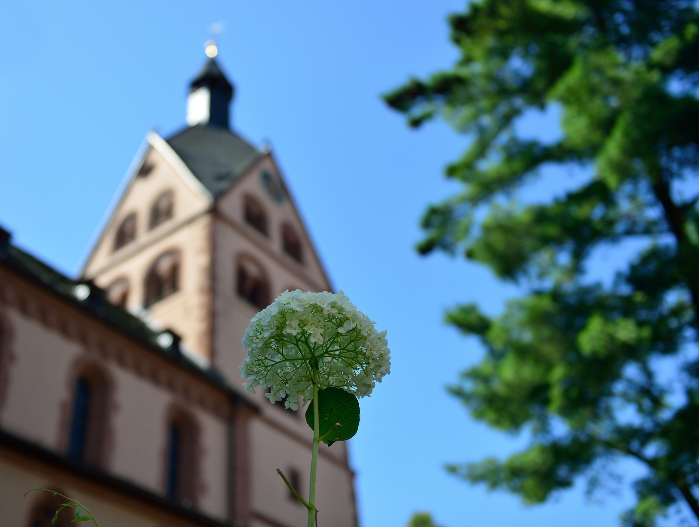 Gelnhausen