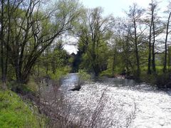 Gelnhausen's Natur