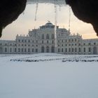 Gelo a Stupinigi