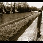 Gelo al Naviglio