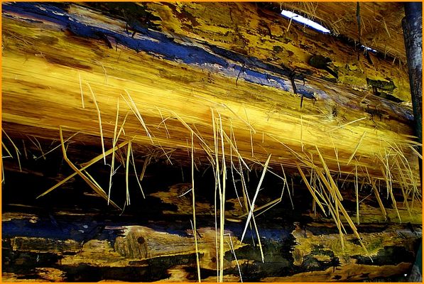 GELÖST - Erster Preis 2x vergeben !!! Was genau ? und Wo entstanden ?