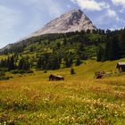 - GELÖST - Wo liegt dieser Berg und wie heißt er ?