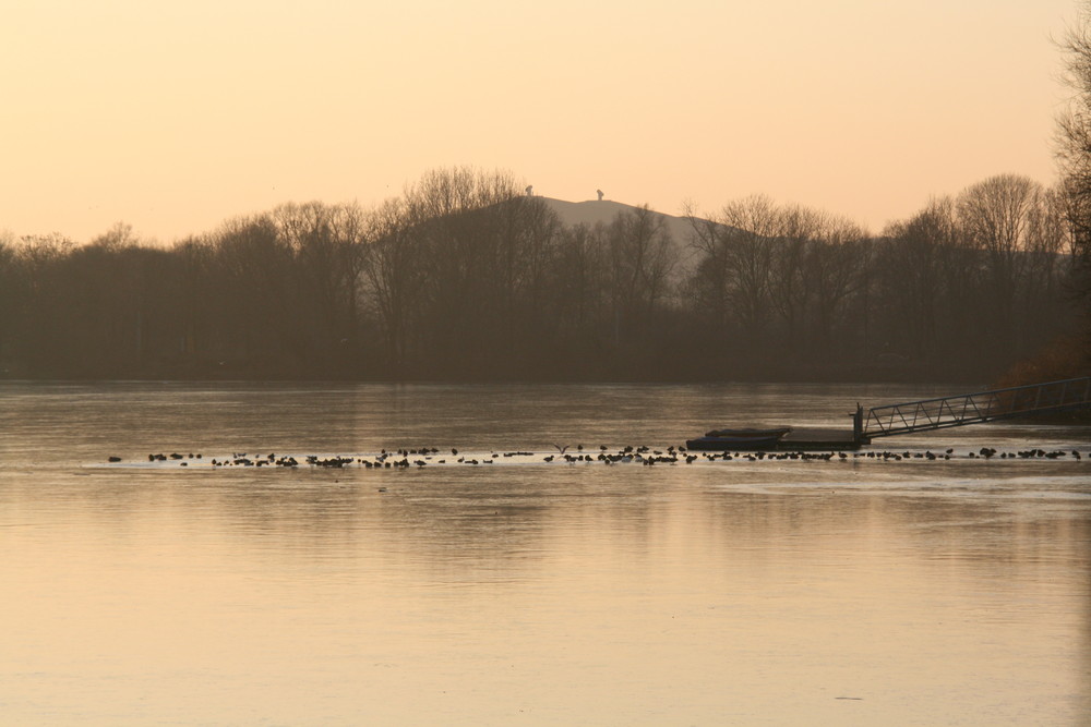 Gelsenkirchen, Berger See mit Blick auf Halde Rungenberg