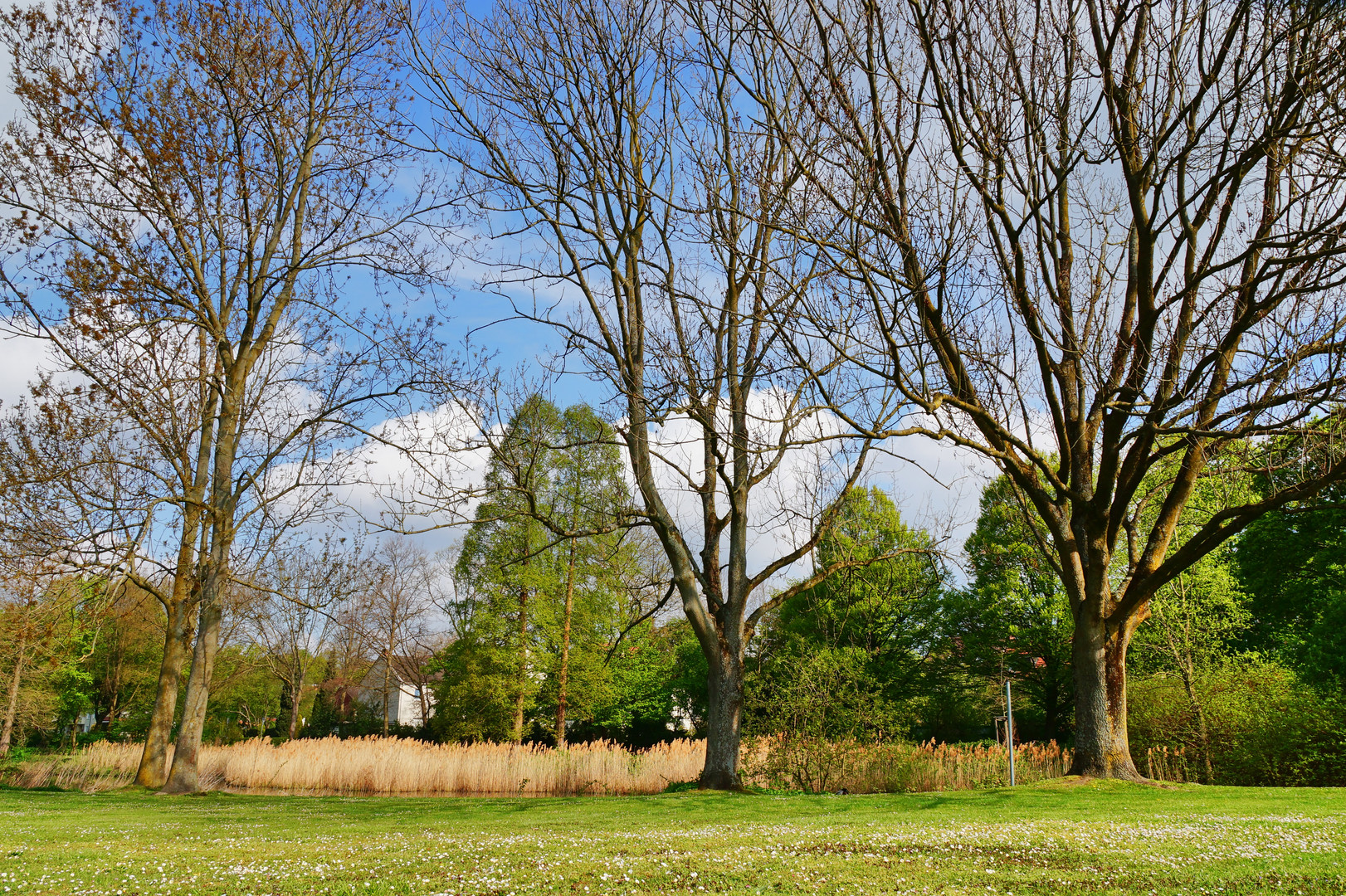 Gelsenkirchen Buer. Warten auf den Frühling