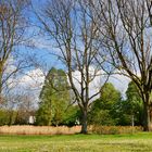 Gelsenkirchen Buer. Warten auf den Frühling