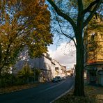 Gelsenkirchener Herbst (22) 