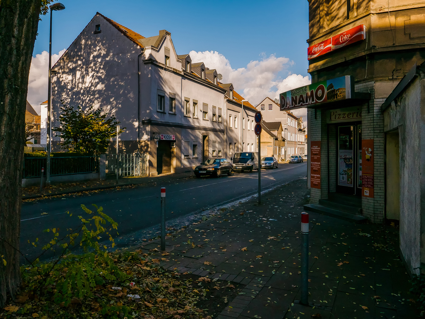 Gelsenkirchener Herbst (23) 