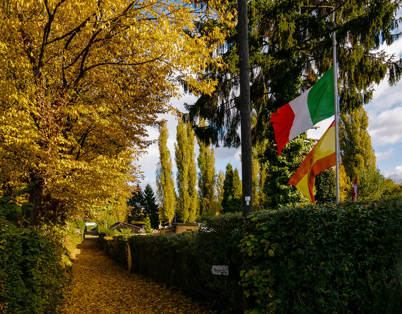 Gelsenkirchener Herbst (4) 