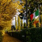 Gelsenkirchener Herbst (4) 