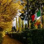 Gelsenkirchener Herbst (4) 