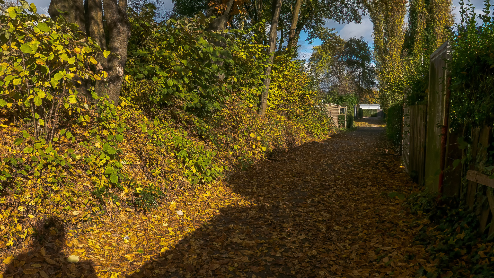 Gelsenkirchener Herbst (7) 