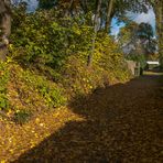 Gelsenkirchener Herbst (7) 