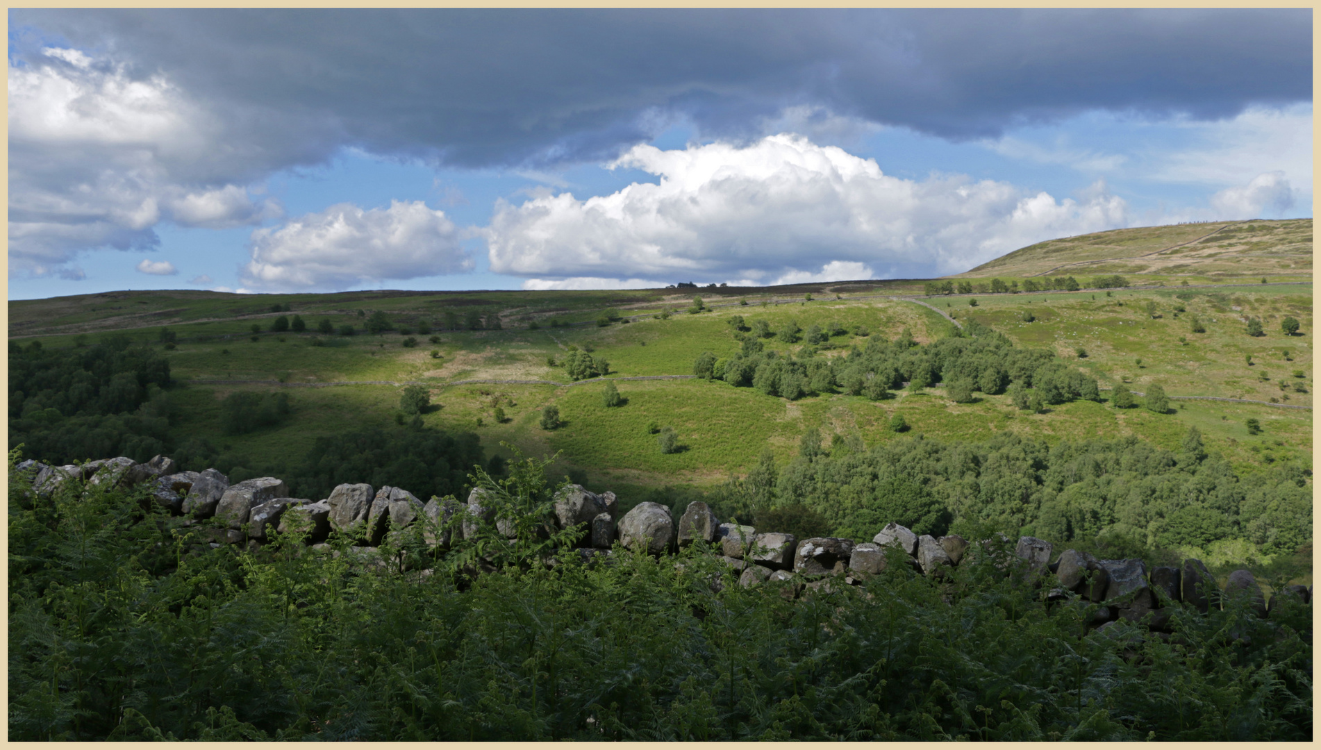 geltsdale from Jockey Shield 10