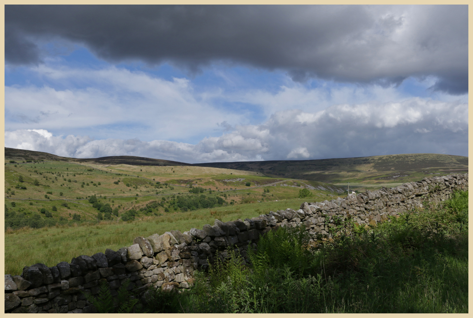 geltsdale from Jockey Shield