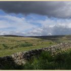 geltsdale from Jockey Shield