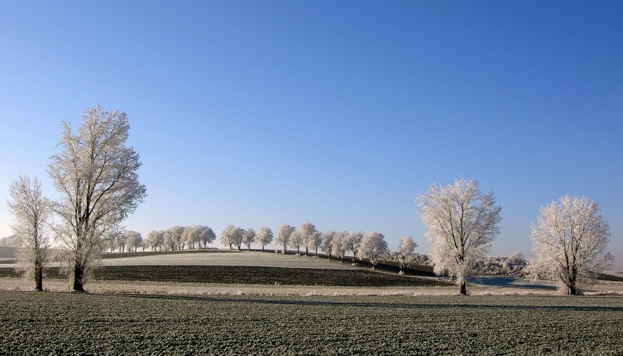 Gelungene Landschaftsgestaltung