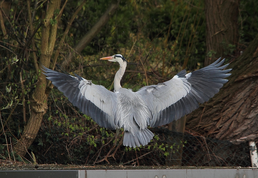 Gelungener Landeanflug