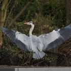 Gelungener Landeanflug