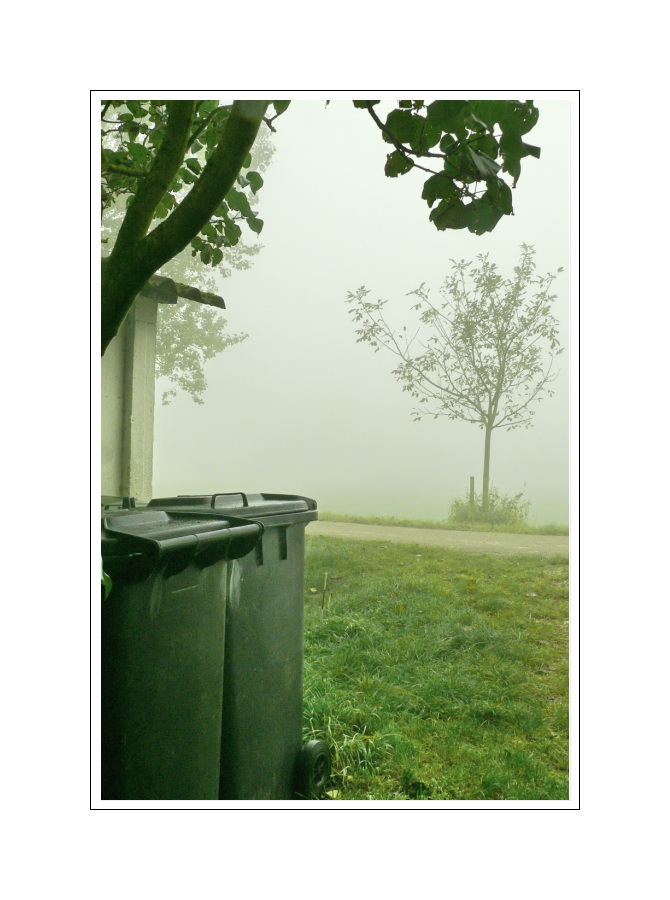 Gelungenes Foto von zwei Mülltonnen im Hochnebel (07.10.07, neun Uhr zwei-und-dreizig)
