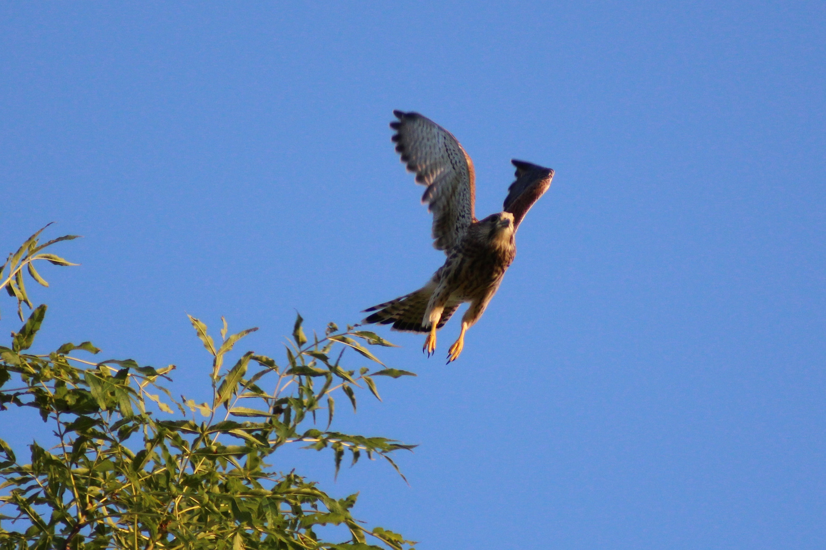 gemächlicher Abflug