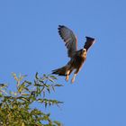 gemächlicher Abflug