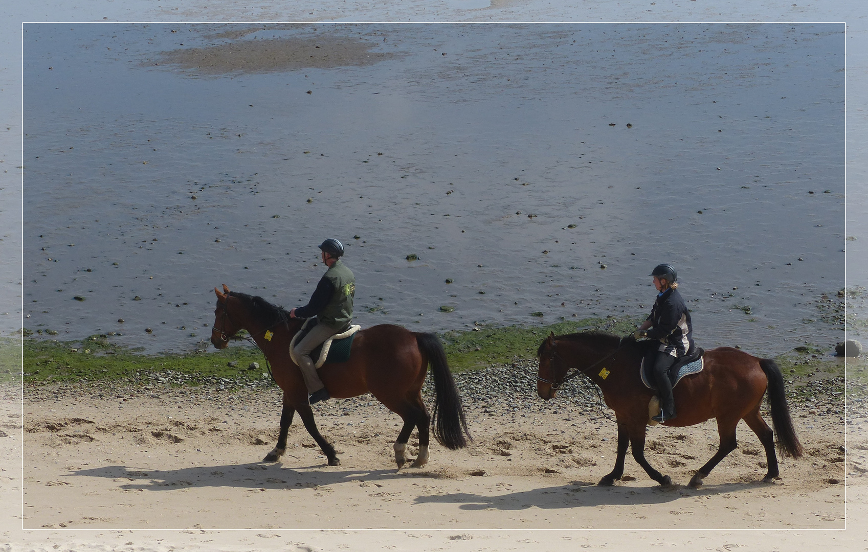 Gemächlicher Ausritt am Wattenmeer