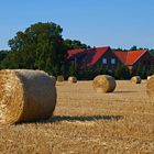 Gemäht sind die Felder, der Stoppelwind weht,..........