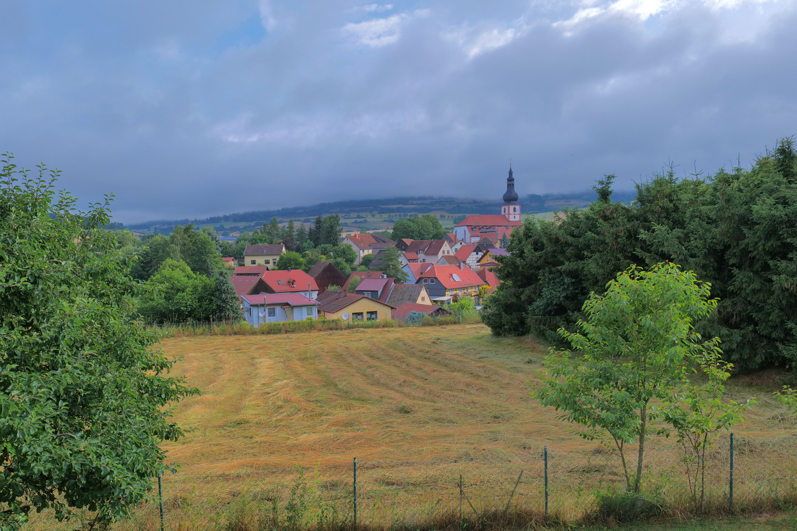 gemähte Wiese beim Nachbarn