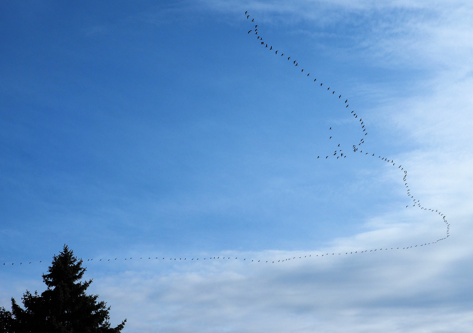 Gemälde am Himmel zum Blue Monday….