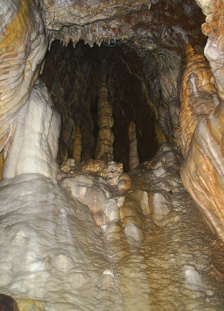 Gemälde der Natur