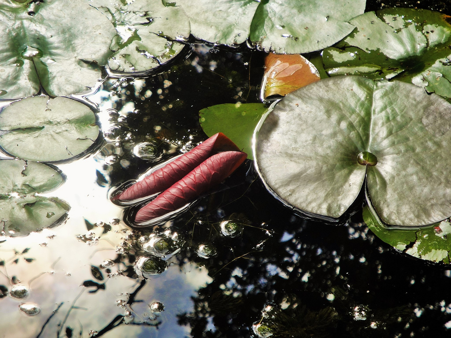 Gemälde der Natur