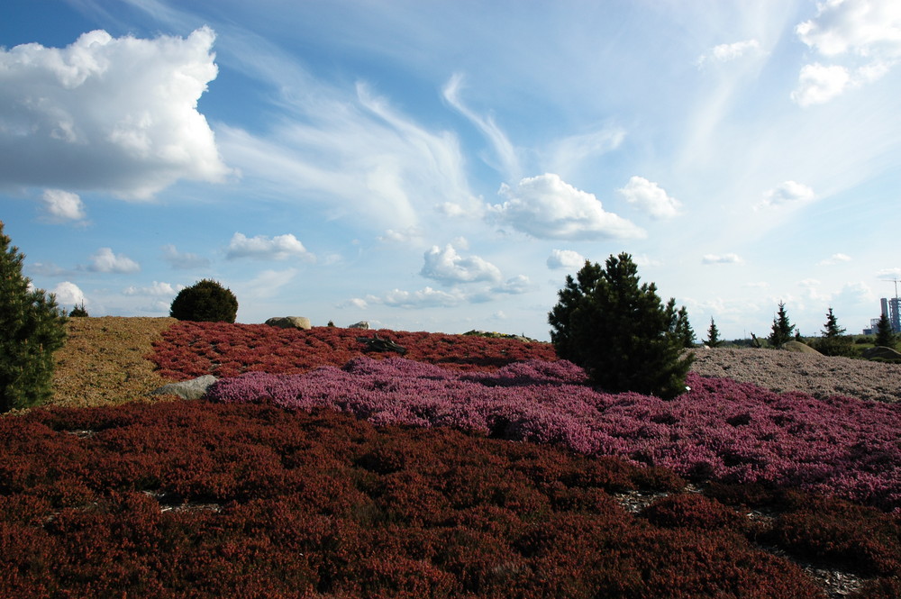 Gemälde - im Findlingspark Nochten