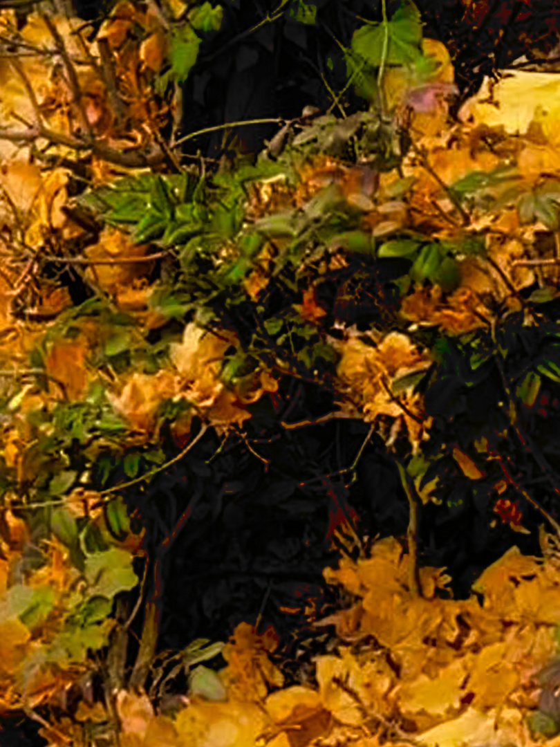 gemalt vom Herbst 