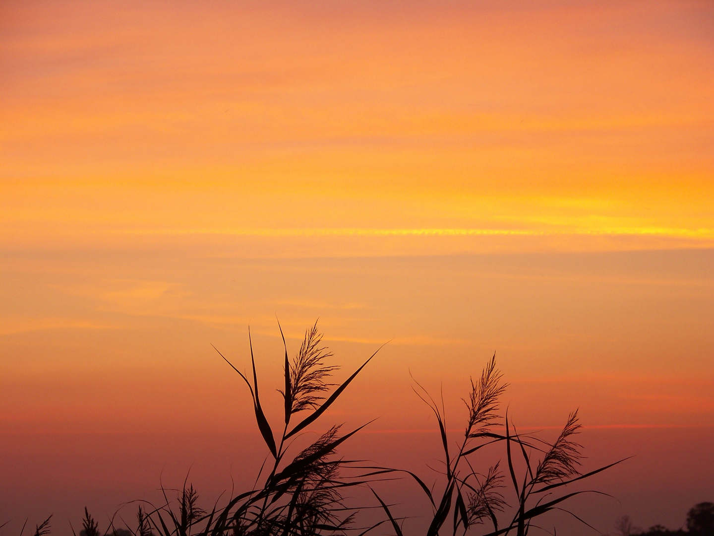 Gemalter Sonnenuntergang