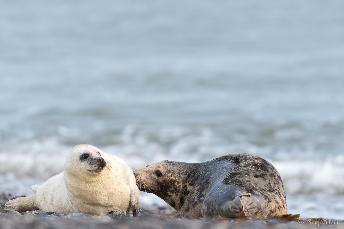 Gemeinsam am Strand