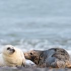 Gemeinsam am Strand