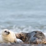 Gemeinsam am Strand