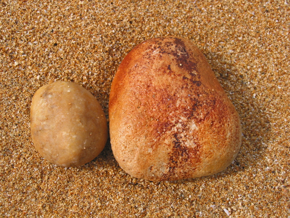 Gemeinsam am Strand