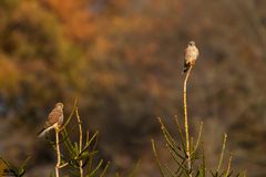 Gemeinsam auch im Herbst