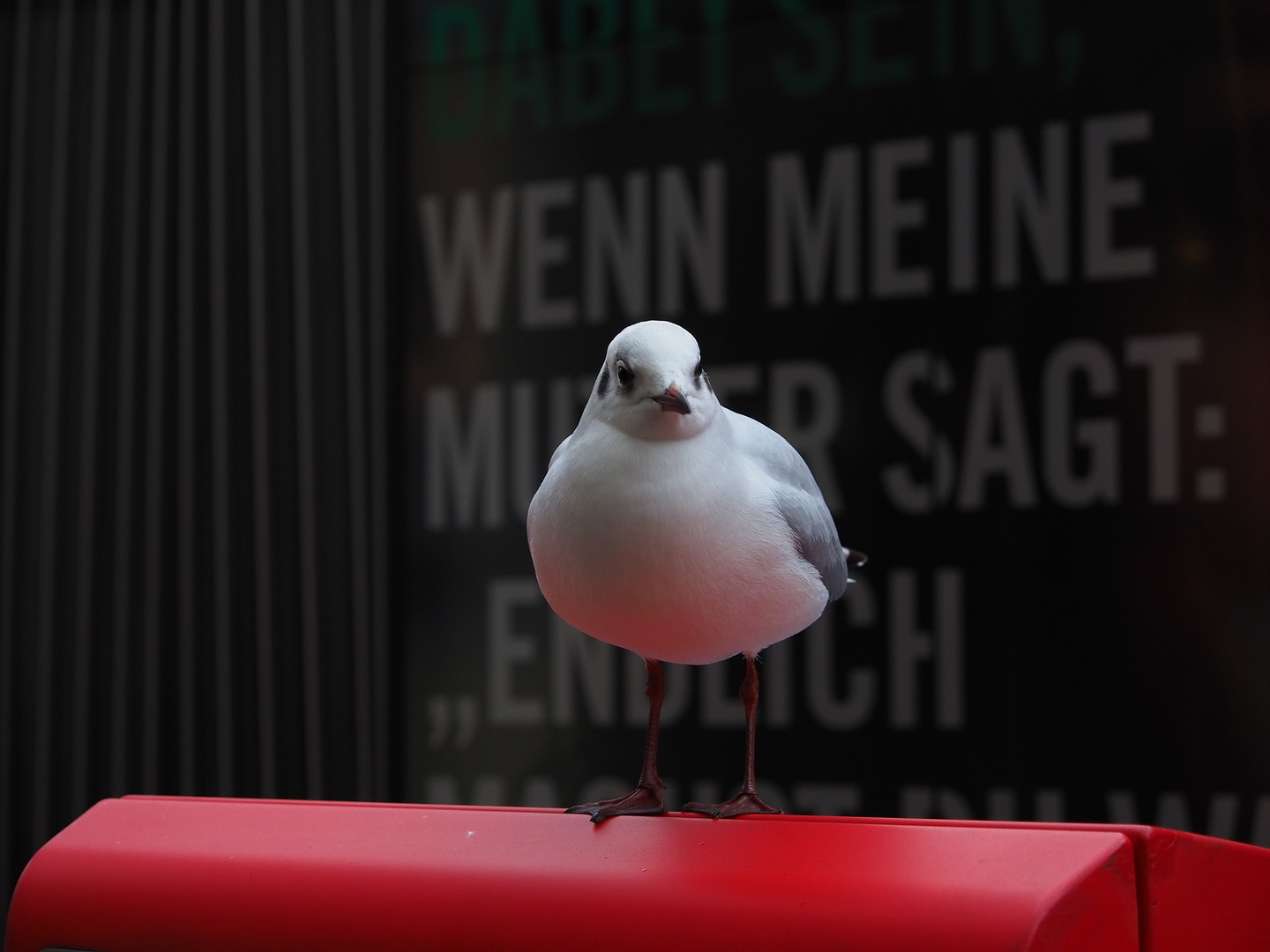 Gemeinsam auf den Bus warten...