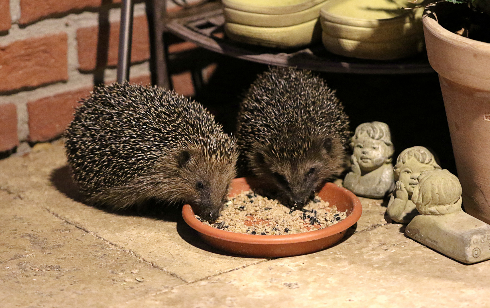 Gemeinsam beim Abendessen ...