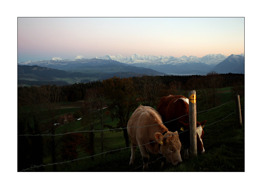 ...gemeinsam dem Abend entgegen...