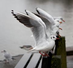 Gemeinsam den Abflug machen