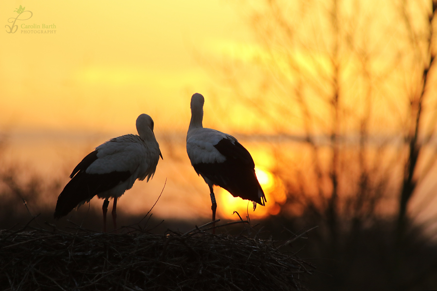 Gemeinsam den Sonnenuntergang genießen